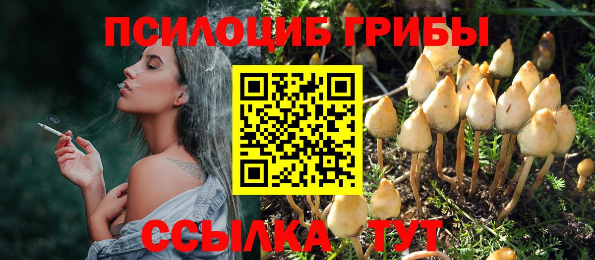 Галлюциногенные грибы Psilocybe  Вход с VPN  Галлюциногенные грибы Psilocybine cubensis  Кириши 