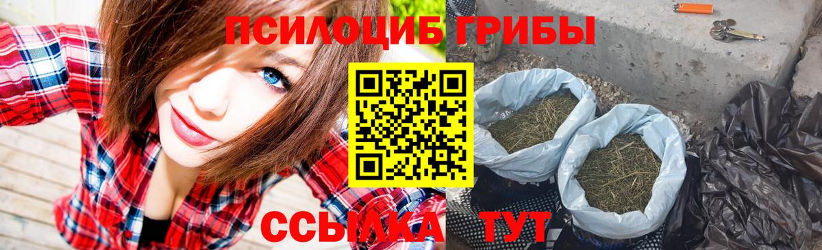 Псилоцибиновые грибы GOLDEN TEACHER Кириши